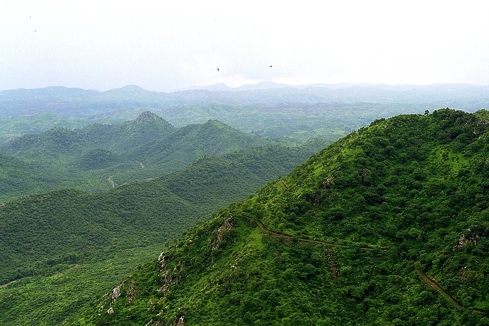 Aravalli Hills covered in green forest landscape showing the ancient mountain range in India