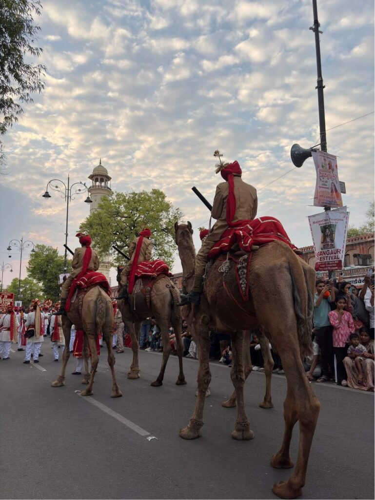 Camel riders in traditional attire taking part in the Teej procession in Jaipur